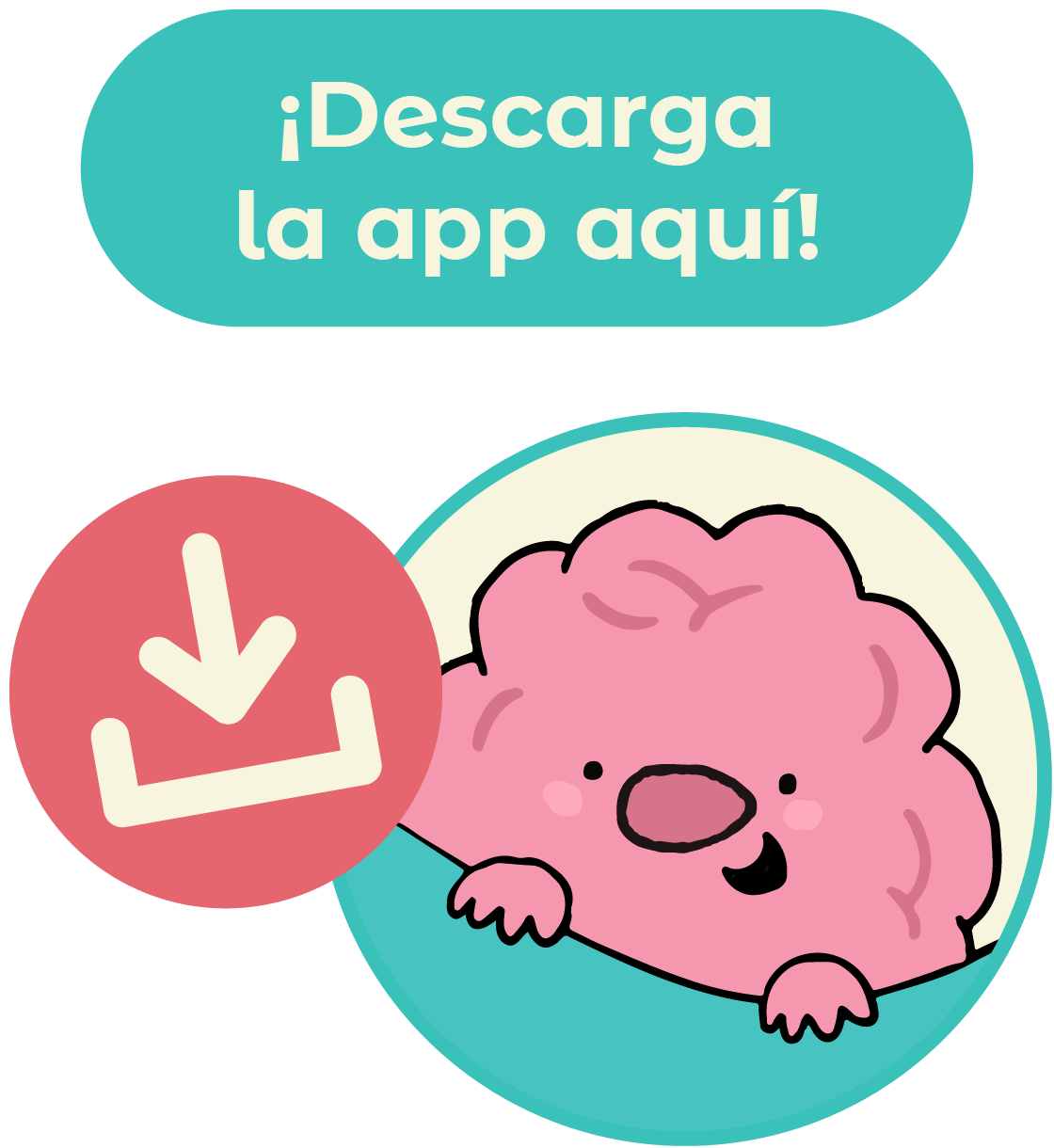 boton descarga app